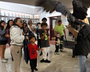 Students and families check out the birds of prey exhibit as a bird stretches out its large wings